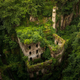 Image for article titled E. O. Wilson's Radical Plan To Save The Planet